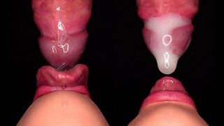 Close Up: Premium Condom Blowjob Mess, Damaged Condom, Cum Play,ASMR 4K