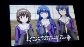 Two barely legal, buxom anime babes, wild and wantonly, unfetter, unbridled, unshackled