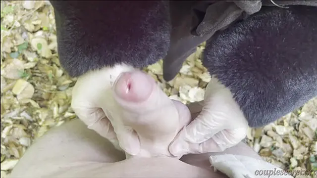 I CUM on LEAVES – LATEX HANDJOB in the FOREST with my BEST FRIEND ????????