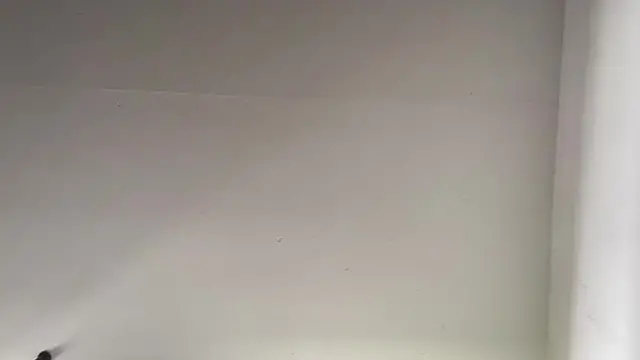 I fuck my girlfriend at home (audio only)