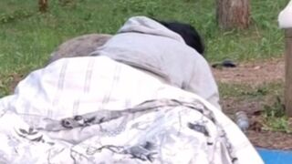 Hidden sex outside in the woods while everyone still in tents
