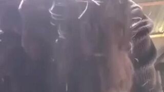 Adek Kakak Rumah Sepi Berujung Ngewe