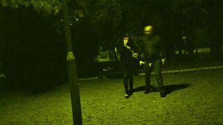 He put a dog leash around my neck and I had to suck his cock in a public park while cars pas