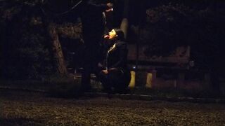 Whore deal with a big fat dick in the public park —  leashed