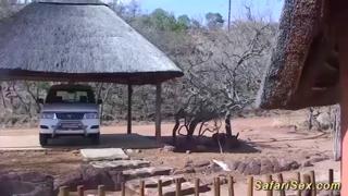 Real African Threesome Interracial Sex Lesson